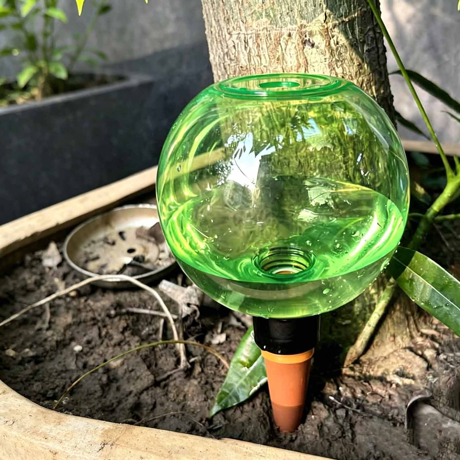 Plant Watering Globe - 1/4 szt. Kulki do podlewania roślin,