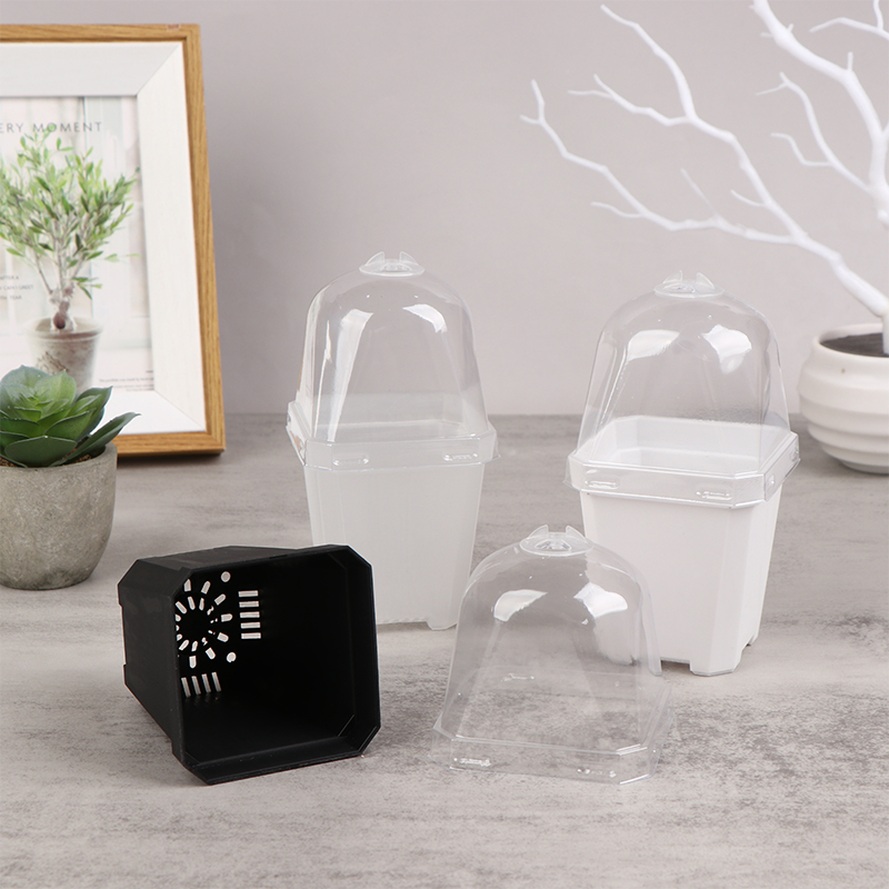 5Pcs Square Small Flower Pot N – Smart Garden Domes recenzja i cena