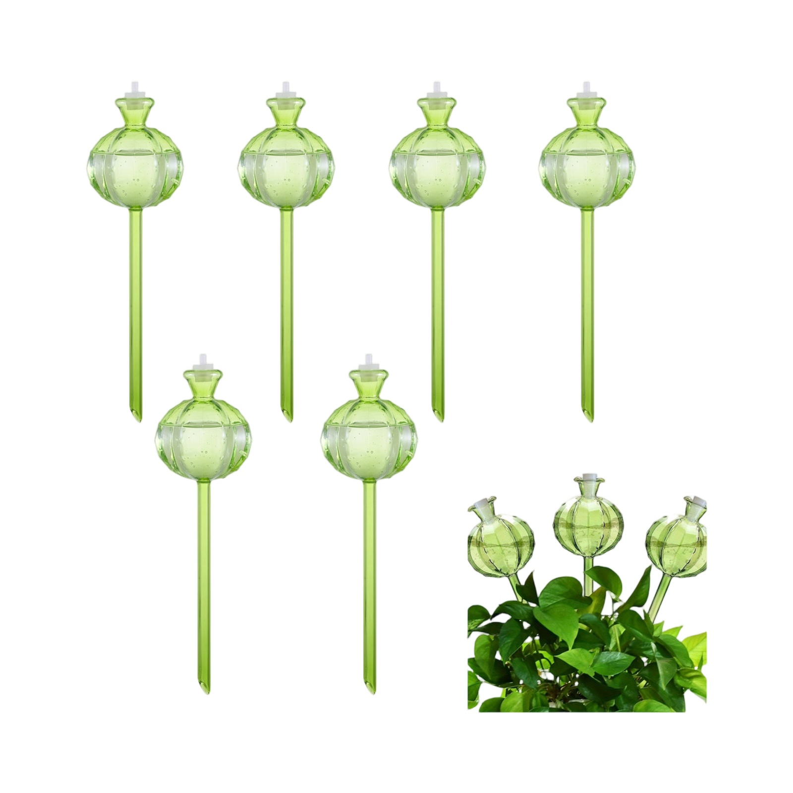 Automatyczne kule do podlewani – Plant Watering Globe recenzja i cena