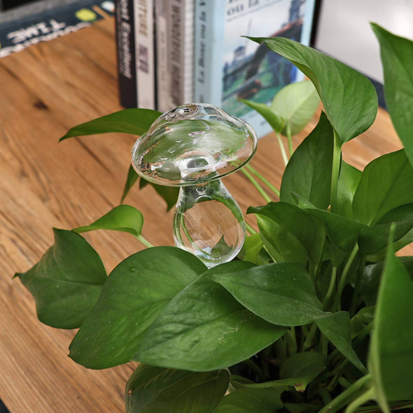 Automatyczna kula do podlewani – Plant Watering Globe recenzja i cena