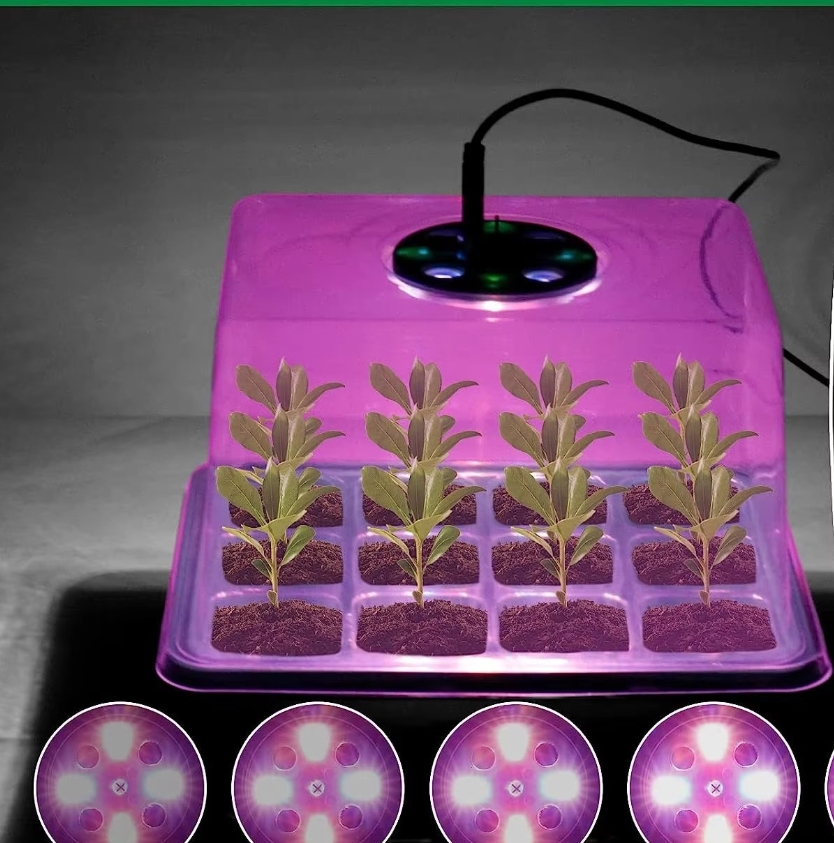Taca do rozsady z lampą do upr – Smart Garden Domes recenzja i cena
