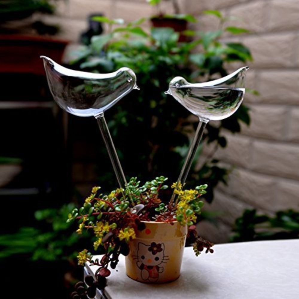 Automatyczne urządzenie do pod – Plant Watering Globe recenzja i cena