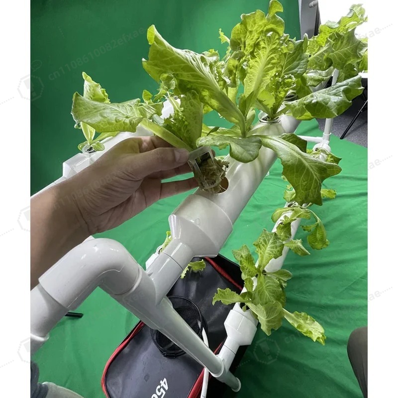 System hydroponiczny NFT, 2-po – Smart Garden Hanging Baskets recenzja i cena